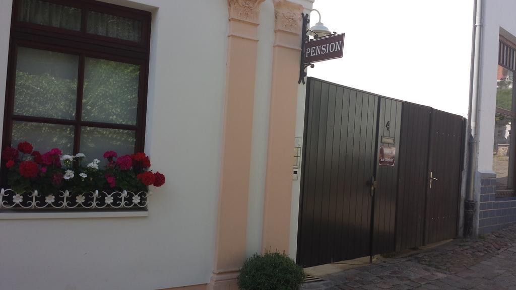 Apartment Villa Zur Altstadt Sassnitz Rom bilde