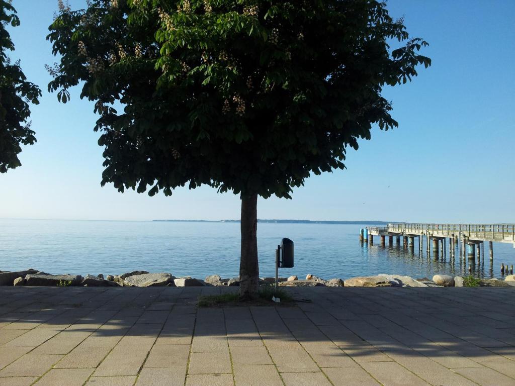 Apartment Villa Zur Altstadt Sassnitz Eksteriør bilde
